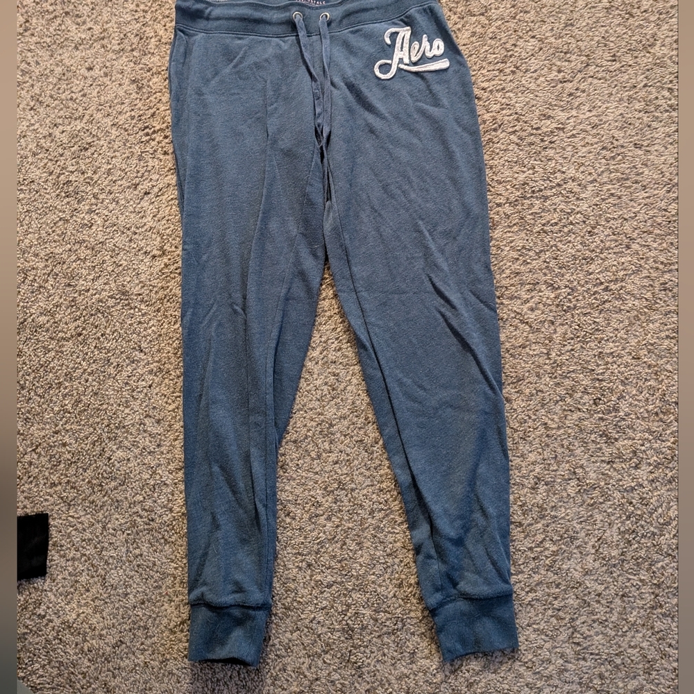Stylish Blue Joggers with Embroidered Logo